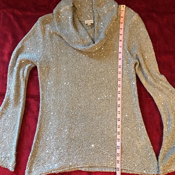 Sparkling Silver Cremieux Sweater - Picture 6 of 7